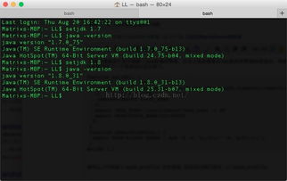 Mac计算机JDK版本切换全攻略